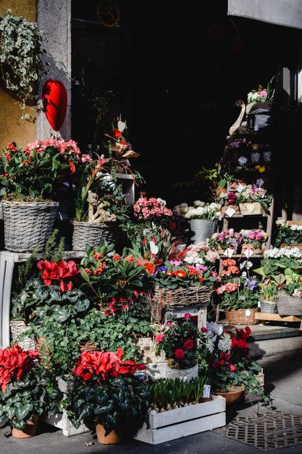 An outdoor display of vibrant floral arrangements outside a flower shop, featuring various potted and basket-trapped flowers in shades of red, pink, white, and purple. The arrangement includes cyclame