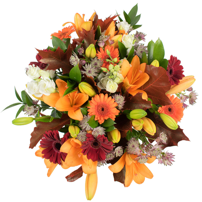 Seen from a slightly elevated view against a clean white backdrop, this lush autumn bouquet reads like an artisan harvest pie of flowers and foliage. Several fully opened orange Asiatic lilies dominate the scene; their broad, trumpet-shaped petals spread with confident, satiny curves, while numerous pale orange and bright green lily buds nestle nearby, hinting at staged unfolding. Bright pumpkin-orange Gerbera daisies bring buoyant, sun-like faces and are contrasted with deep burgundy Gerberas that add a cosy, velvety counterpoint. Scattered among these are soft, creamy-white lisianthus or mini roses with layered, ruffled petals that temper the bolder hues and lend gentle, tactile softness. Small, starry clusters of Astrantia in muted purple and grey-lavender serve as intricate, lace-like filler, creating tiny pockets of delicate detail amid the larger blooms. Significant accents of large, reddish-brown lobed leaves-reminiscent of oak or maple-are artfully integrated to reinforce the fall narrative, their warm tones and textured veins echoing fallen leaves you might spot along Blackwall Lane and the riverside walk. Fresh green foliage and slim stems thread through the composition, giving it a lively backbone and a freshly gathered look. Photographed in bright, natural-feeling light on a pure white background, the bouquet's colours are vivid and true. As a local florist at Flowers Blackwall would prepare, this arrangement feels both celebratory and comforting-ideal for Thanksgiving tables, autumn weddings, or to send seasonal cheer to a neighbour in Blackwall or nearby Canary Wharf.